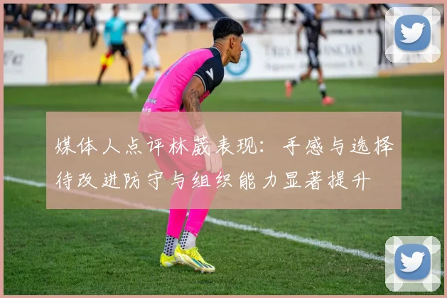 媒体人点评林葳表现：手感与选择待改进防守与组织能力显著提升