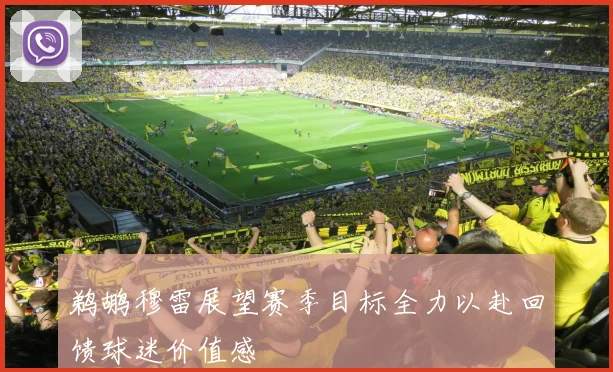 鹈鹕穆雷展望赛季目标全力以赴回馈球迷价值感
