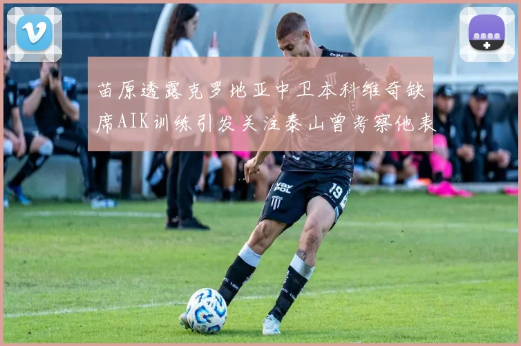 苗原透露克罗地亚中卫本科维奇缺席AIK训练引发关注泰山曾考察他表现
